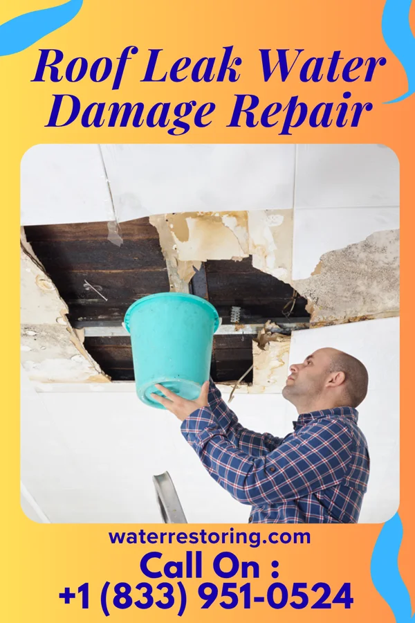 Roof Leak Water Damage Repair in Bailey's Prairie, TX
