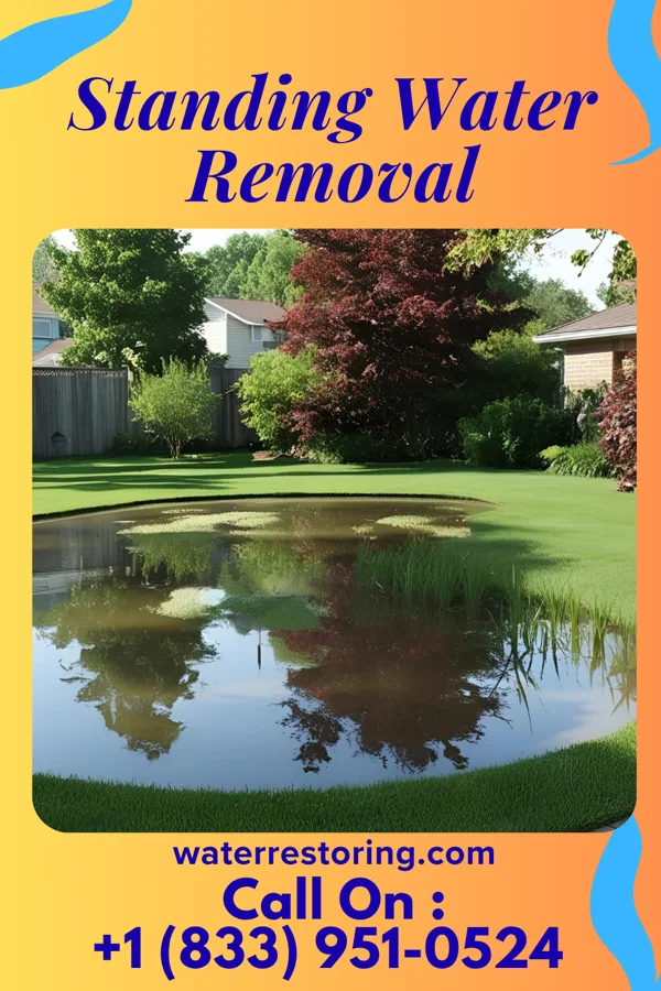 Standing Water Removal in Bailey's Prairie, TX